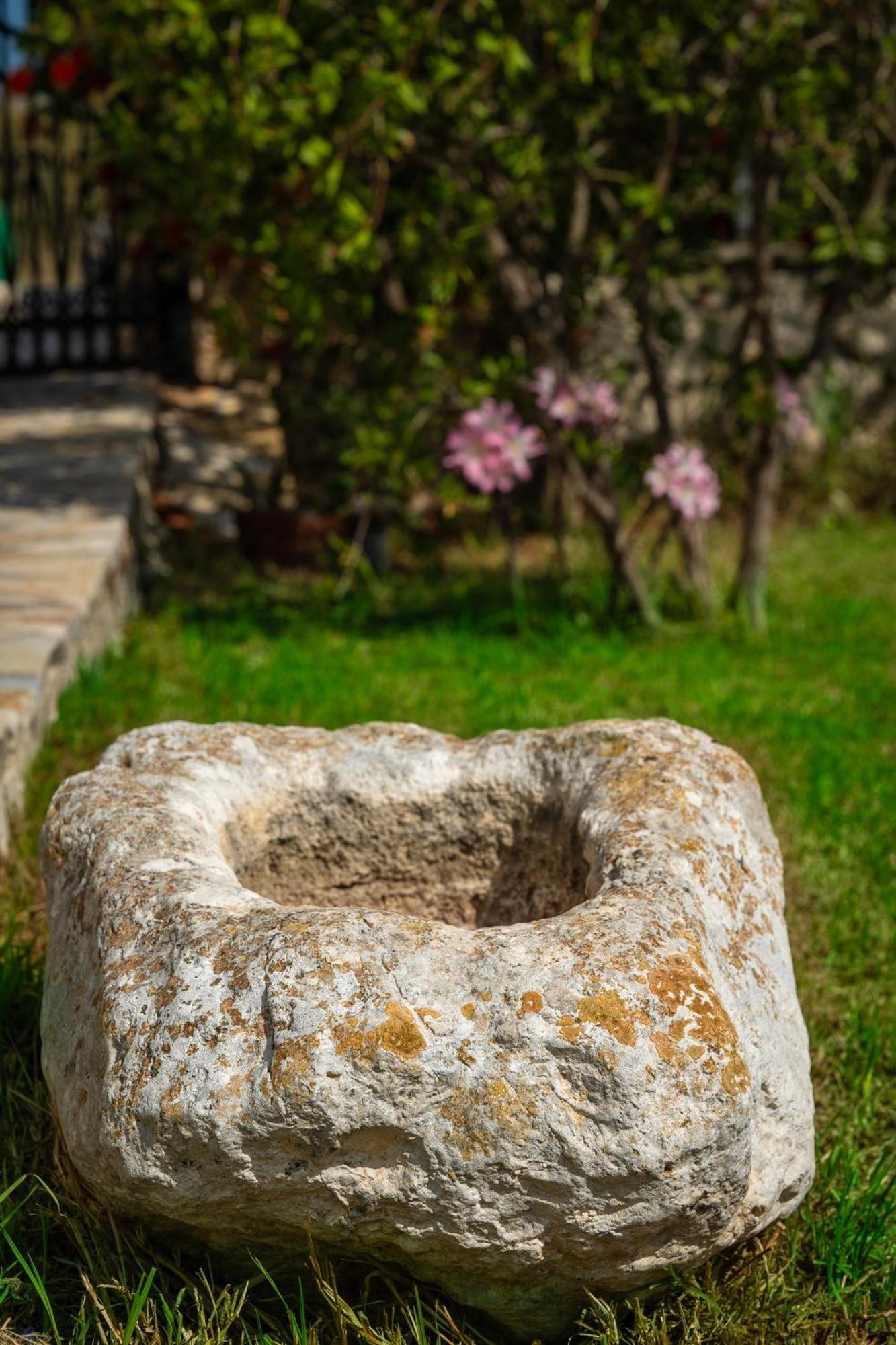 Villa Dionysios Keri Dış mekan fotoğraf