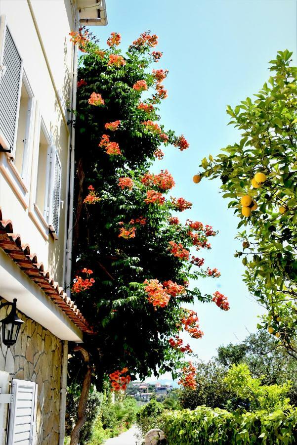 Villa Dionysios Keri Dış mekan fotoğraf